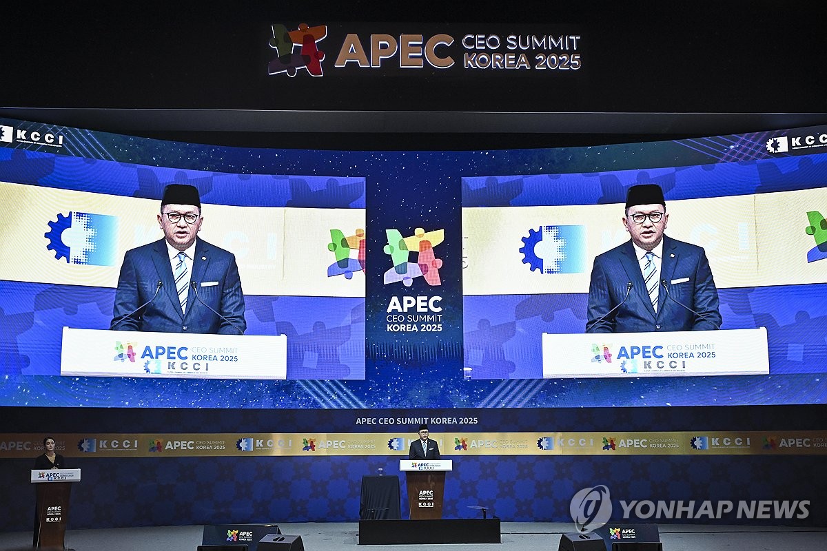 APEC CEO 서밋, 연설하는 인도네시아 투자부 장관