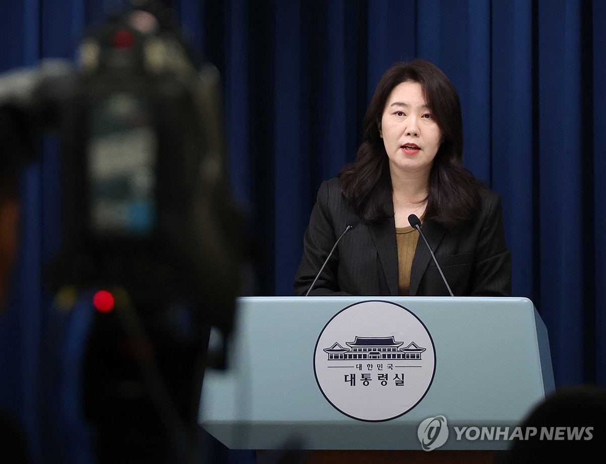 브리핑하는 강유정 대변인