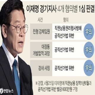  이재명 경기지사 4개 혐의별 1심 판결