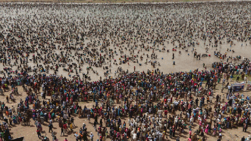 '물 반 사람 반'…아프리카 말리 전통 단체 고기잡이